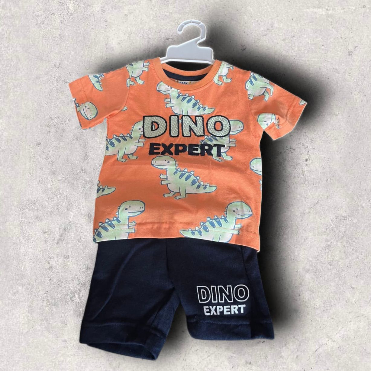 Cubtales Dino Expert T-Shirt & Shorts Set for Boys